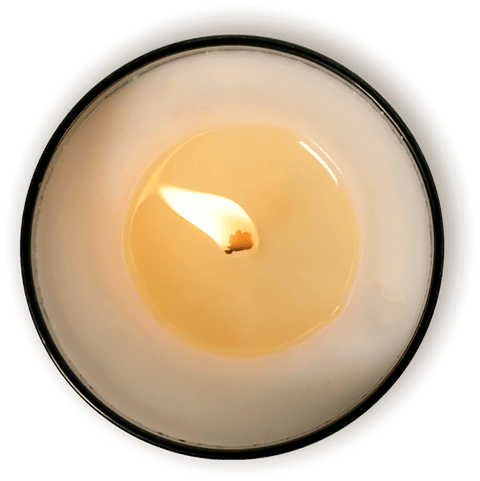 Paloma Negra Soy Candle